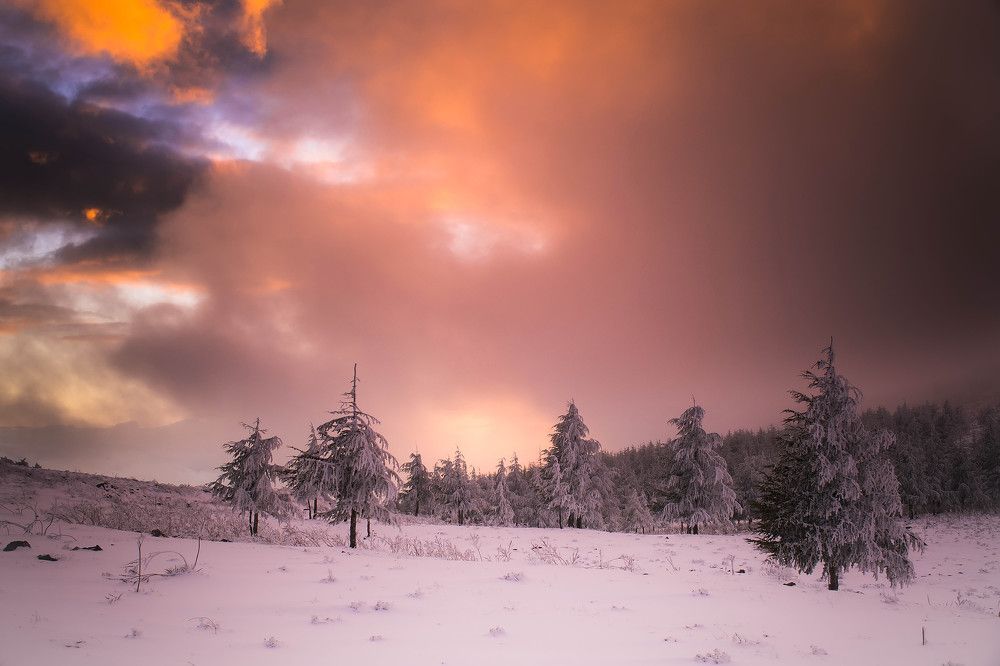 Photograph by BENABID CHERIF