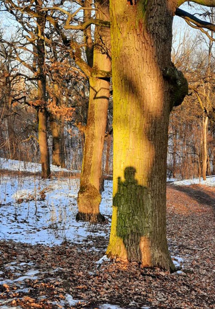 Photograph by Татьяна Исаева