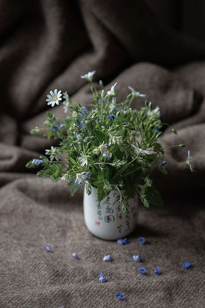 Photograph by Светлана Викторова