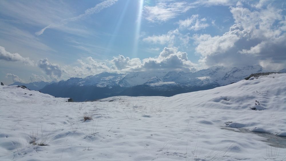 Photograph by Max Ischenko