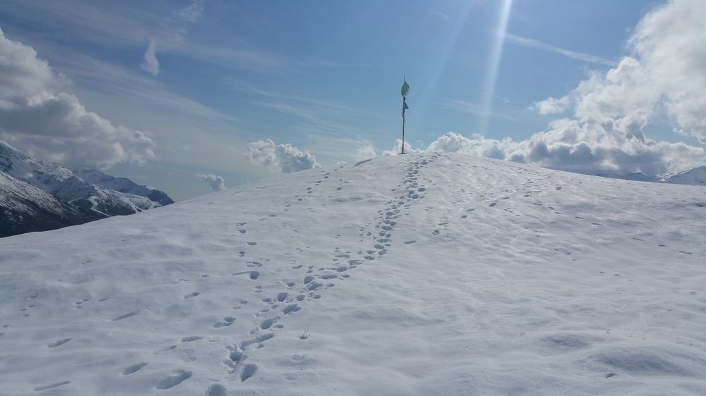 Photograph by Max Ischenko