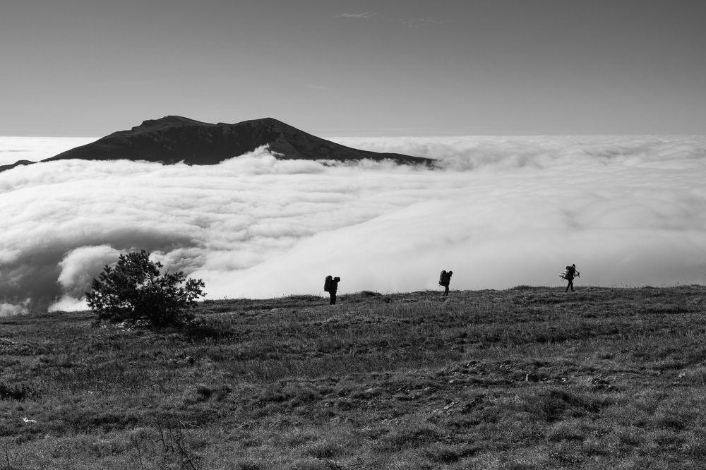 Photograph by Елена Шевченко