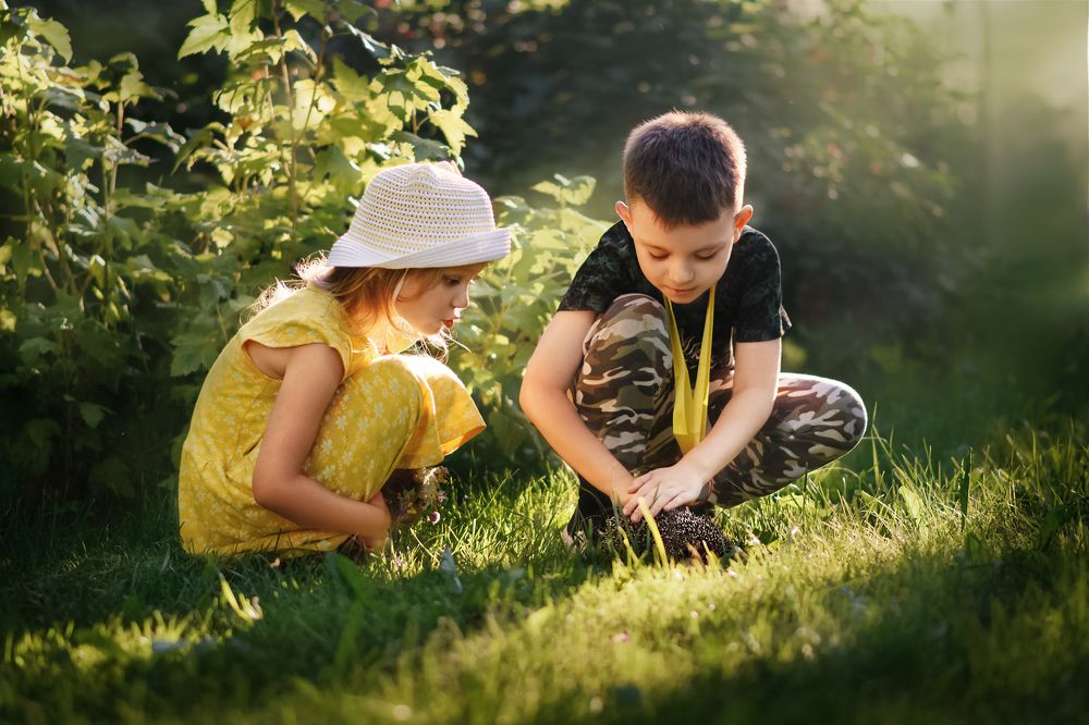 Дети и ёжик