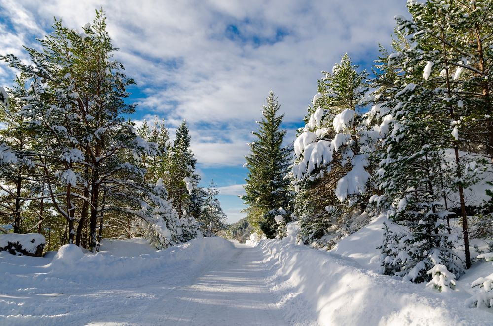 Photograph by Александр Полежаев