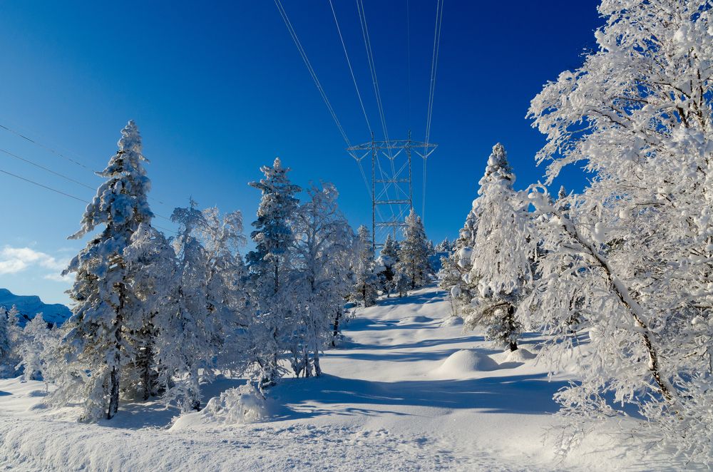 Photograph by Александр Полежаев