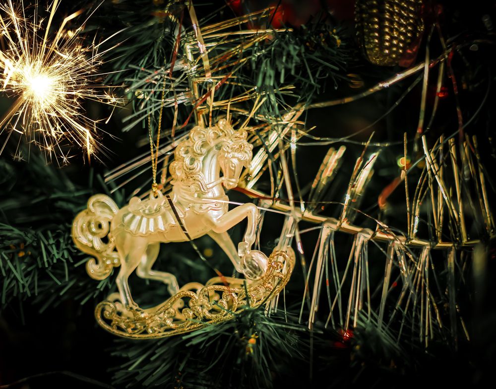 Photograph by Ekaterina Fadeeva