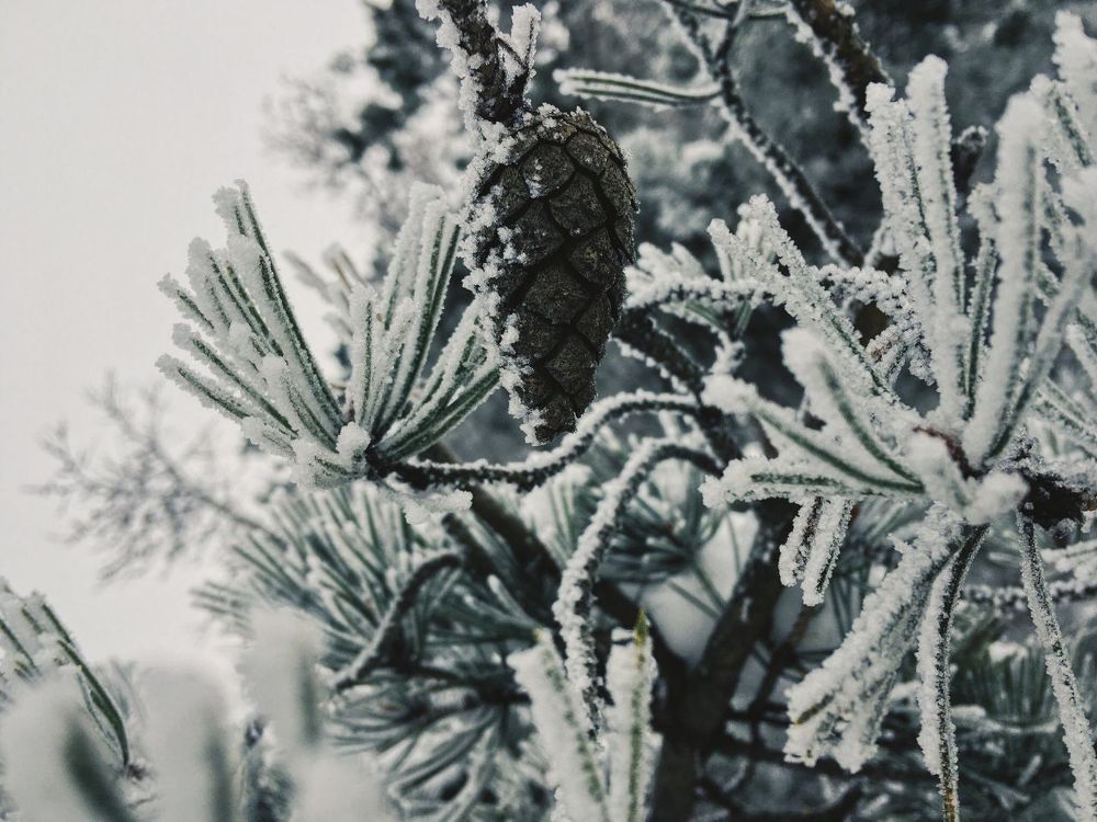 Фотография автора Mansoor Heydaryan