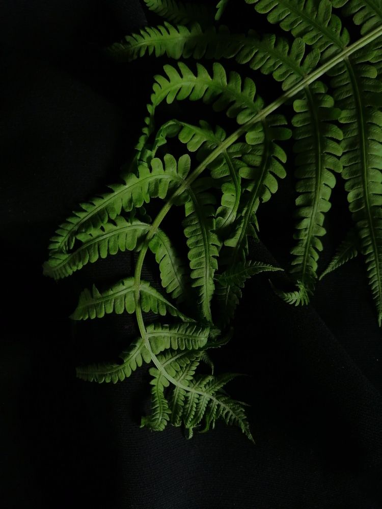 Photograph by Марина