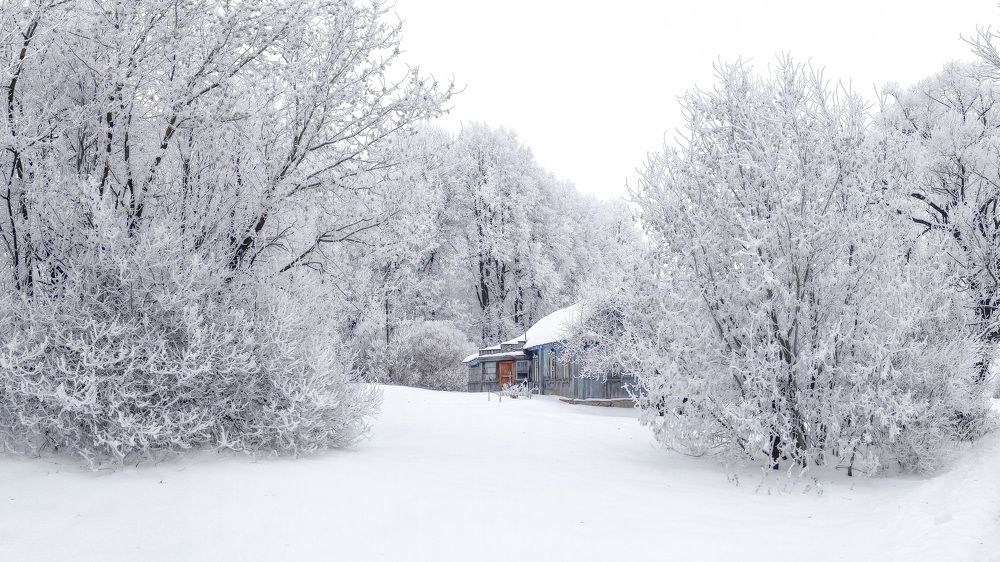 Photograph by Светлана Кондрашова