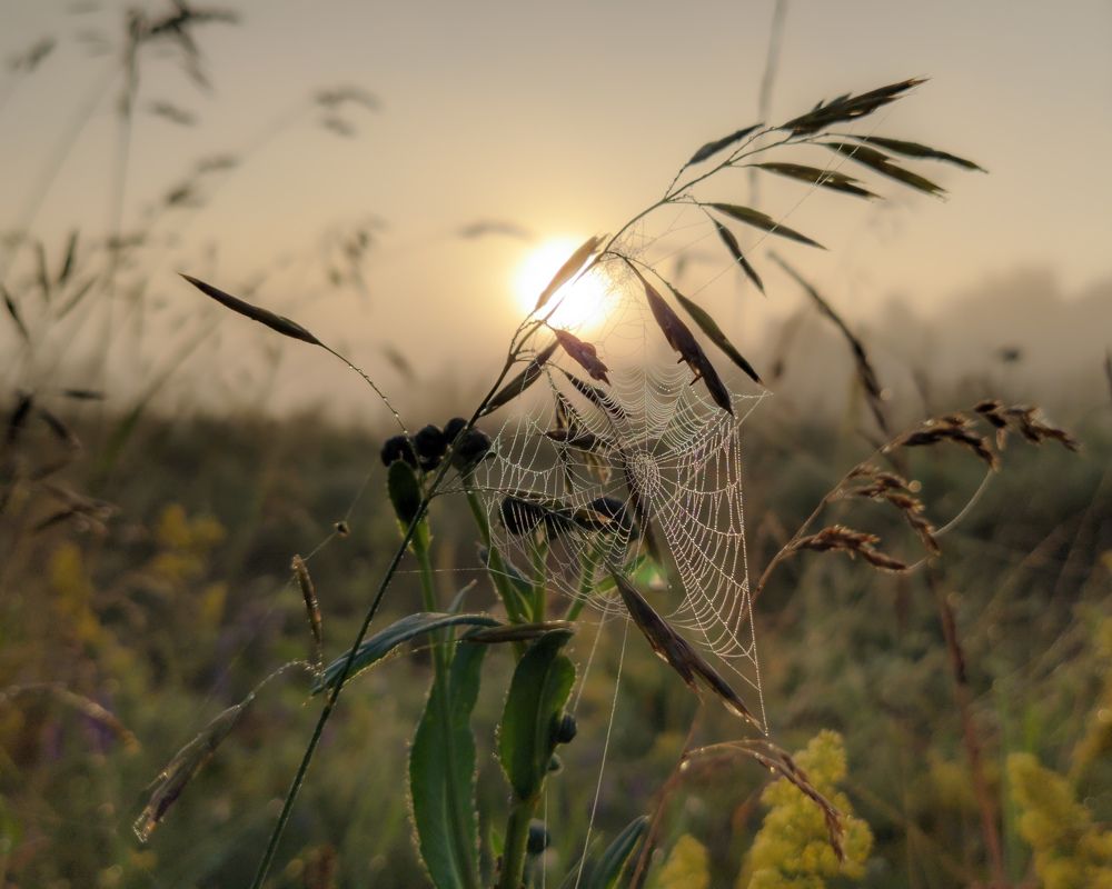 Photograph by Светлана Кондрашова