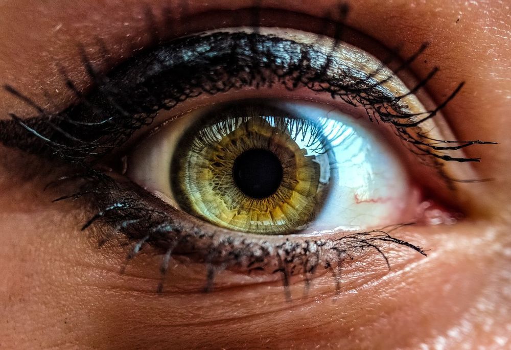 Фотография автора Mansoor Heydaryan