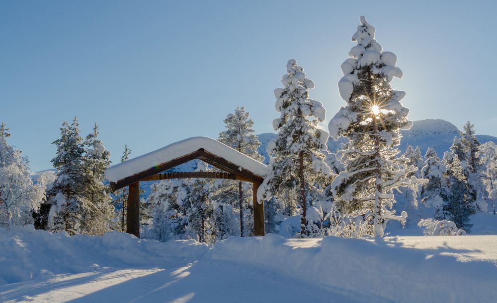 Photograph by Александр Полежаев