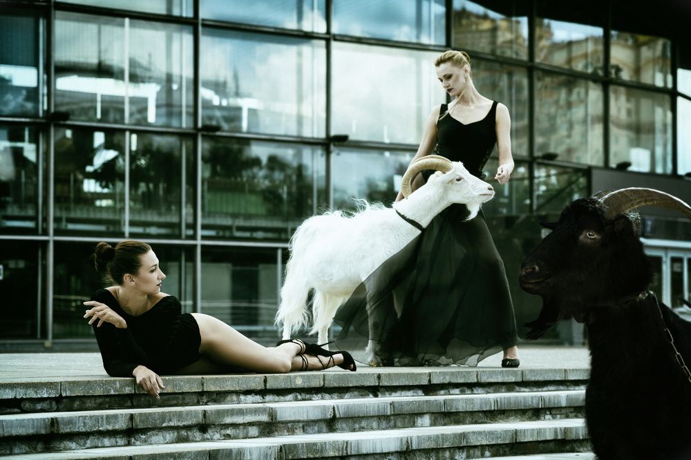 Photograph by Philip Butkin