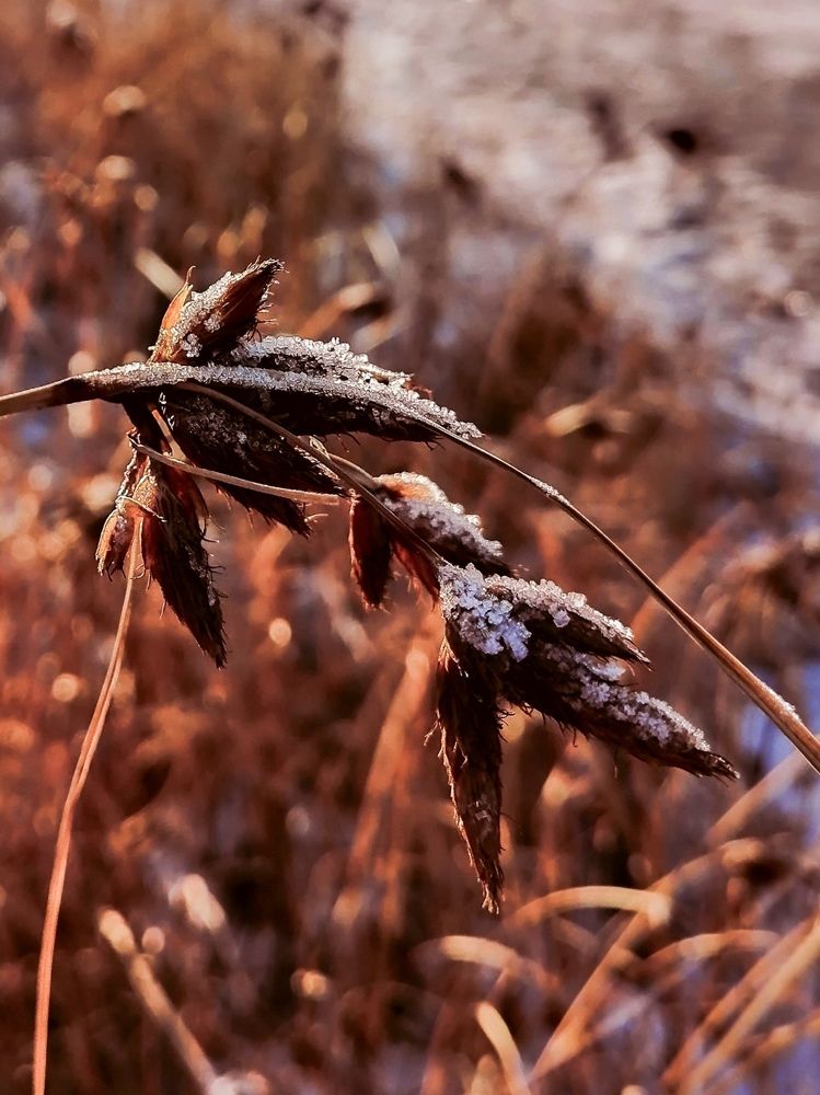 Photograph by Марина