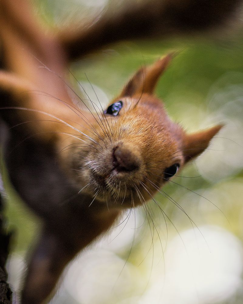 Photograph by Саша Колода