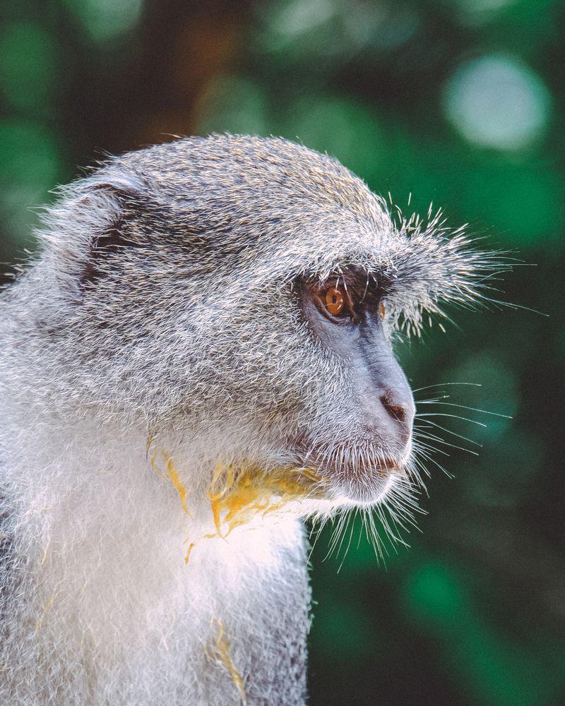 Photograph by Матильда Швейн