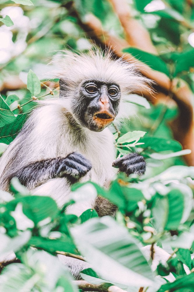 Photograph by Матильда Швейн