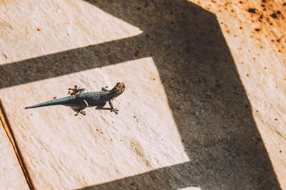 Photograph by Матильда Швейн