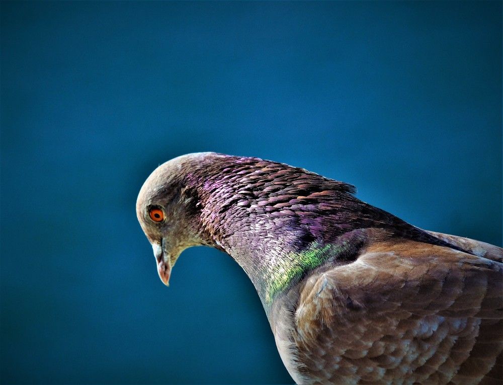 Photograph by Effie Zacharia