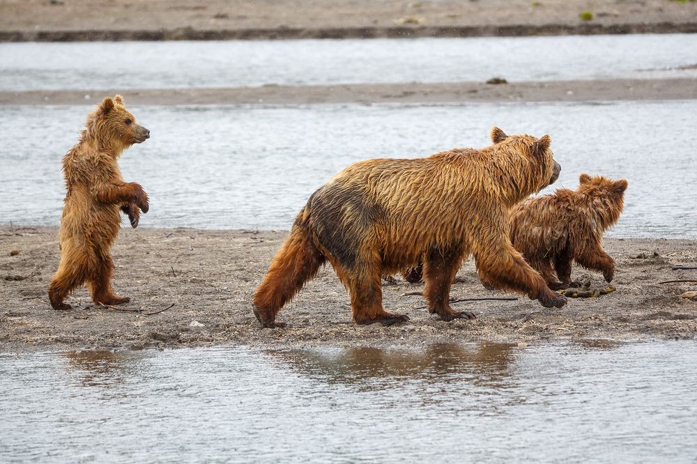 Photograph by Денис Будьков