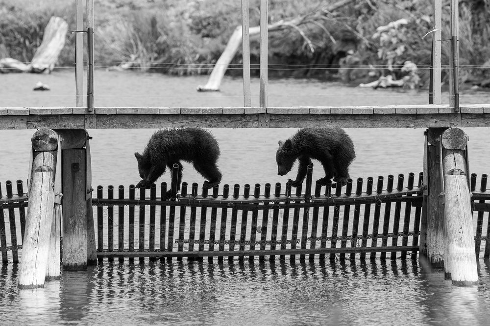 Photograph by Денис Будьков