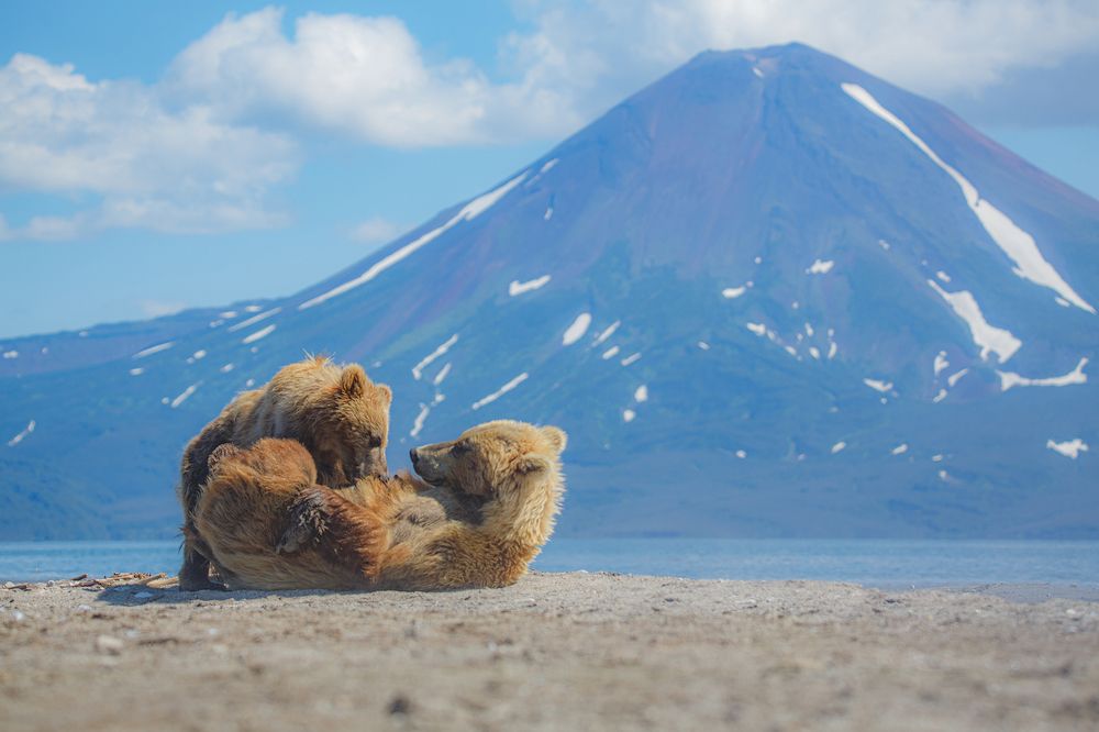 Photograph by Денис Будьков