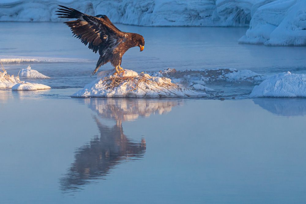 Photograph by Денис Будьков