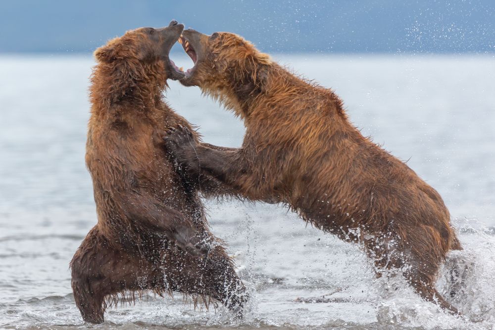 Битва Титанов