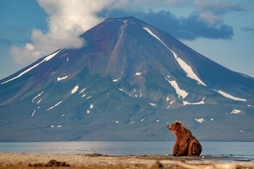 Photograph by Денис Будьков