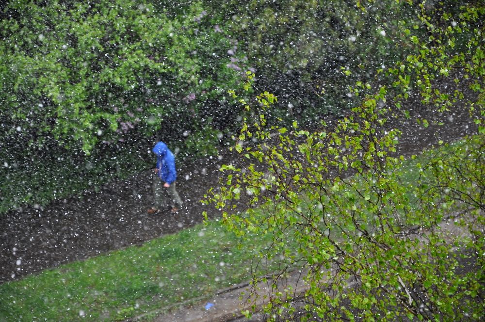 Поздний снег.