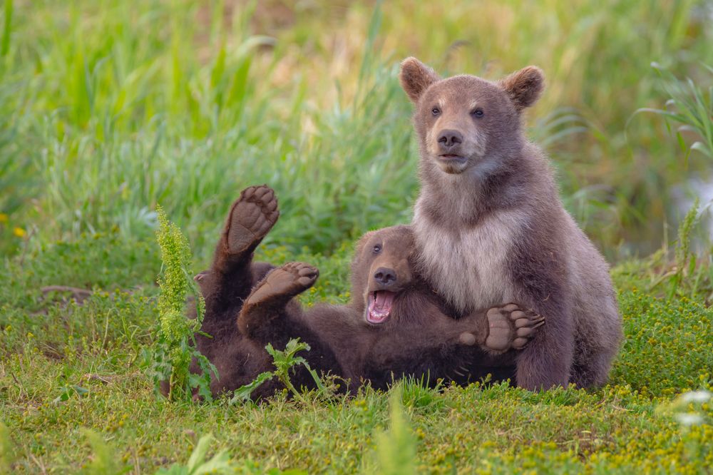 Дружба дружбой а рыбка врозь