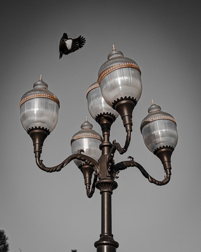 Photograph by Шухрат Нормаматов