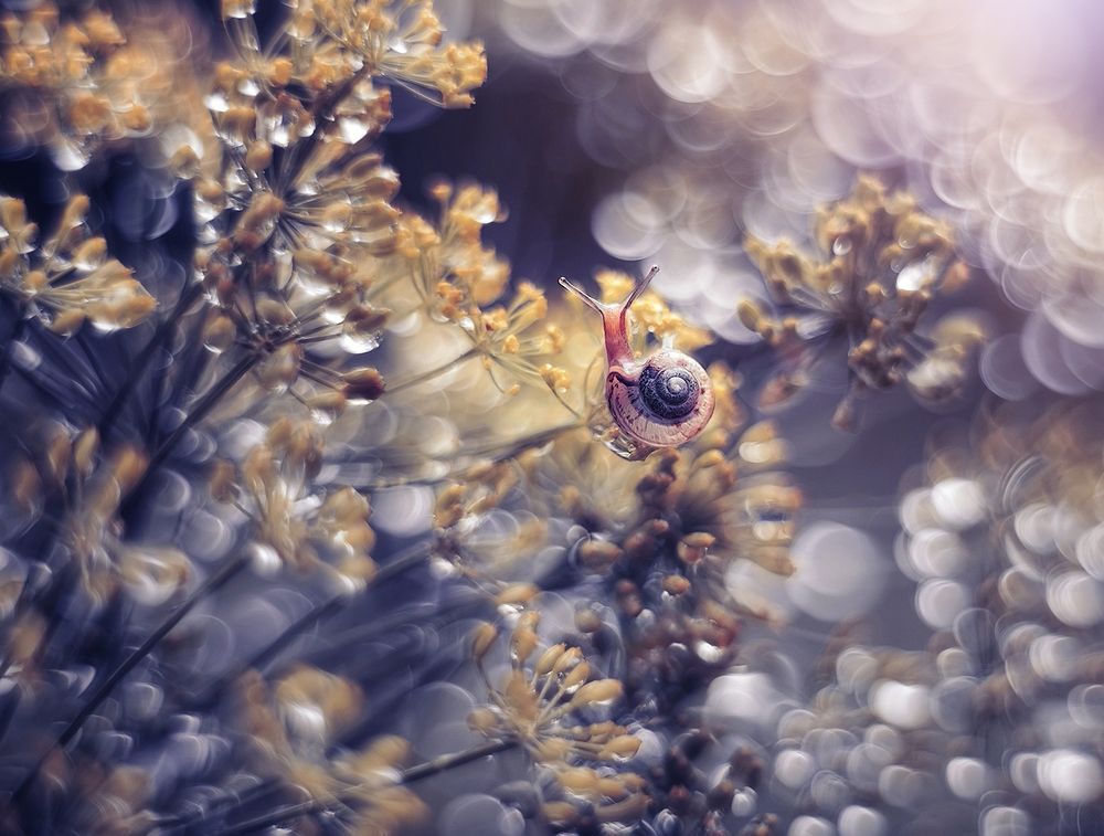 Встречая рассвет