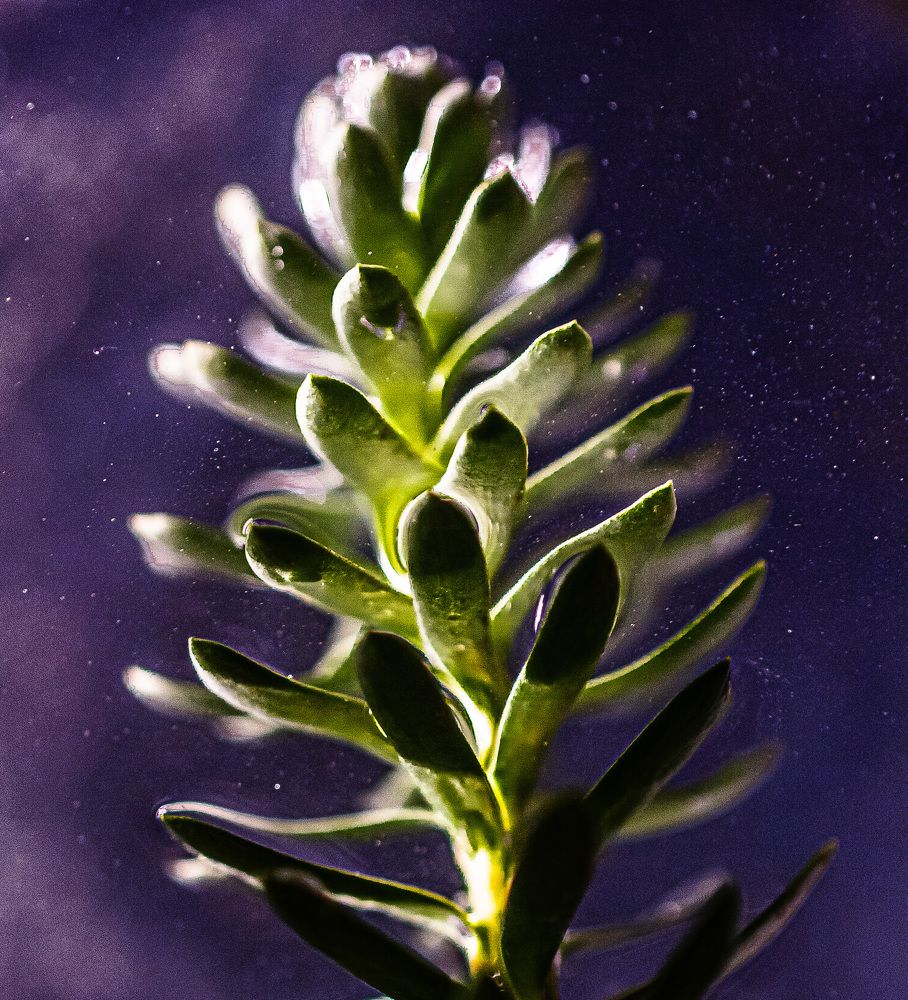 Земной Космос