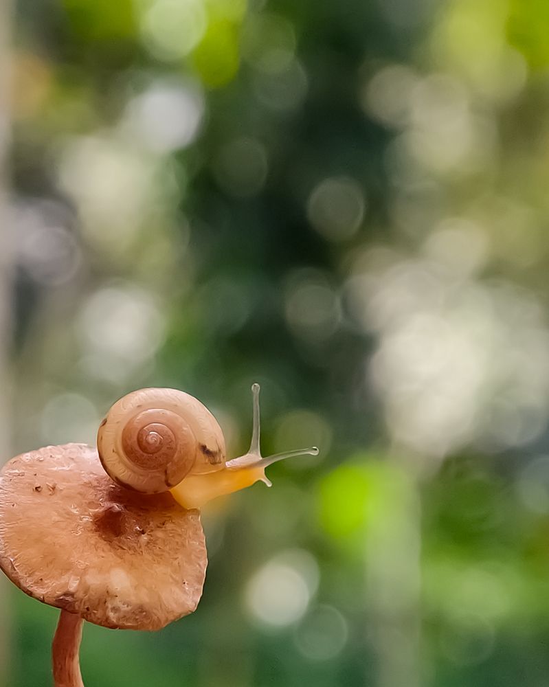 Photograph by Neng Rina