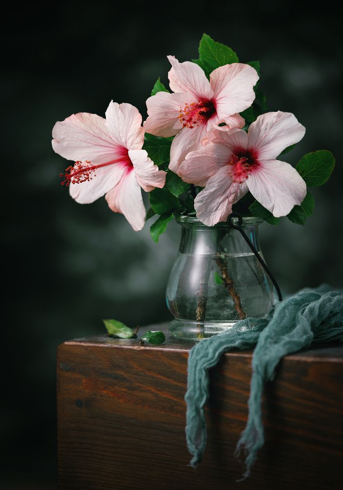 Photograph by Антон Серкин