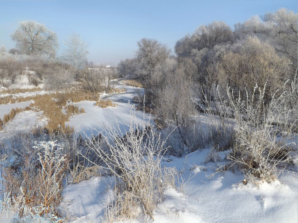 Photograph by Дмитрий Крылов
