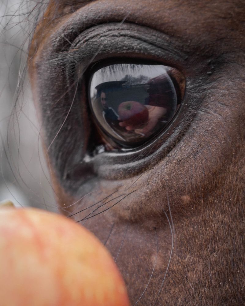 Фотография автора Оксана Белозерская