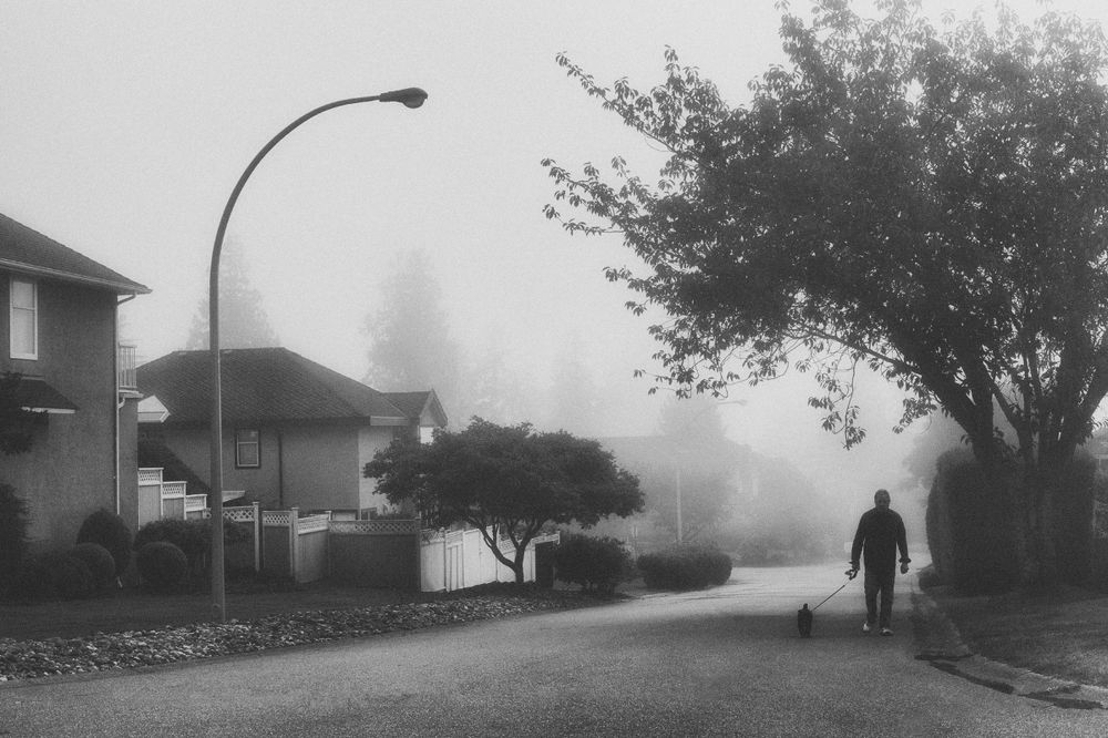 Photograph by Olga Pavlova