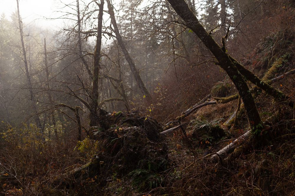 Photograph by Olga Pavlova