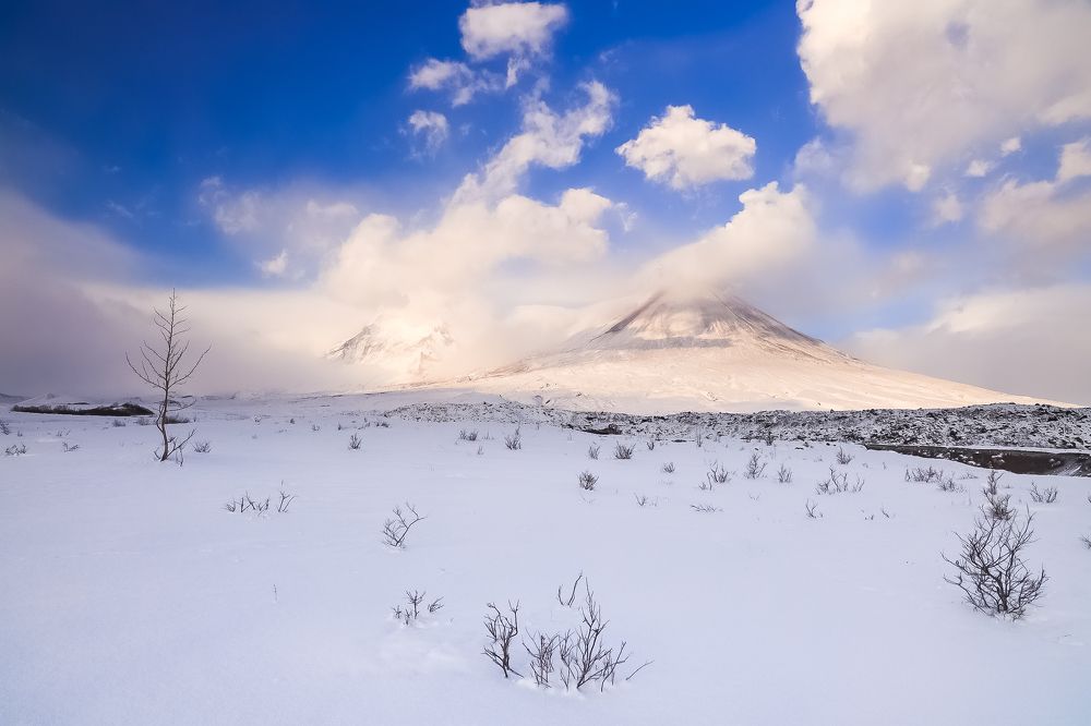 Photograph by Евгения Черентаева