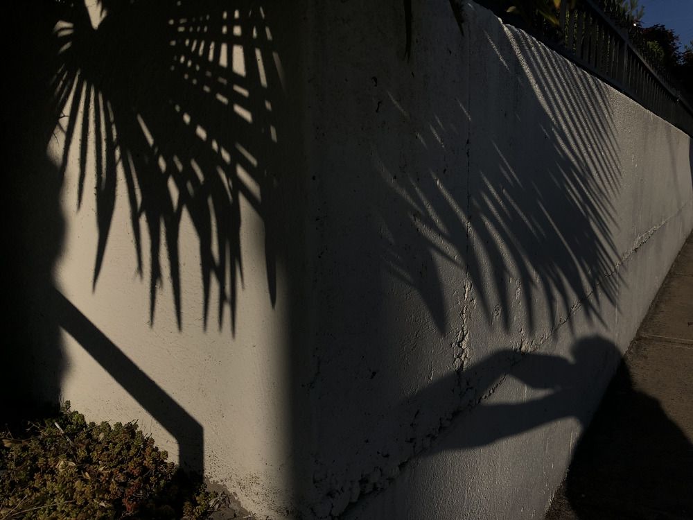 Photograph by Olga Pavlova