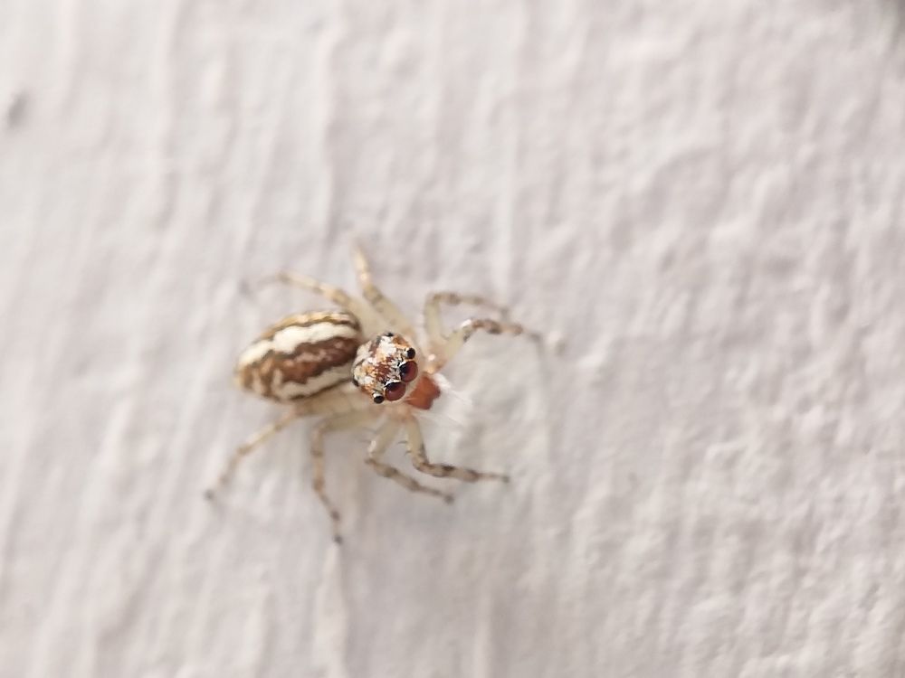 Photograph by nie Sandyani