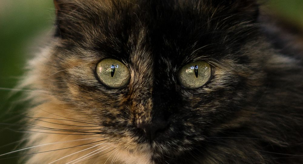 Photograph by Venegas Cornejo Carlos