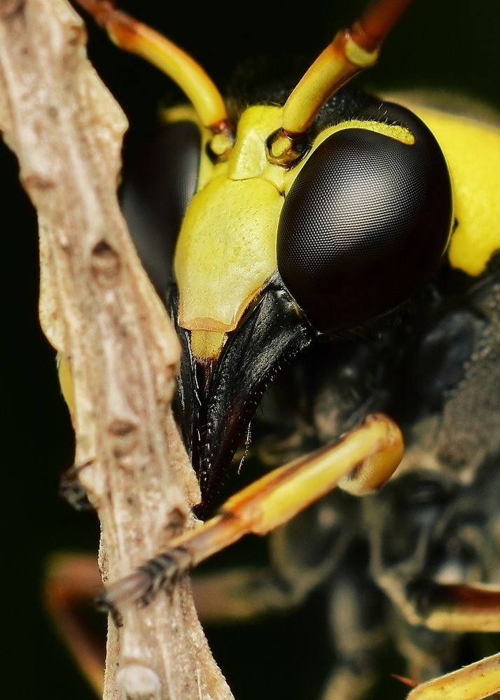 Photograph by sepni juhansah