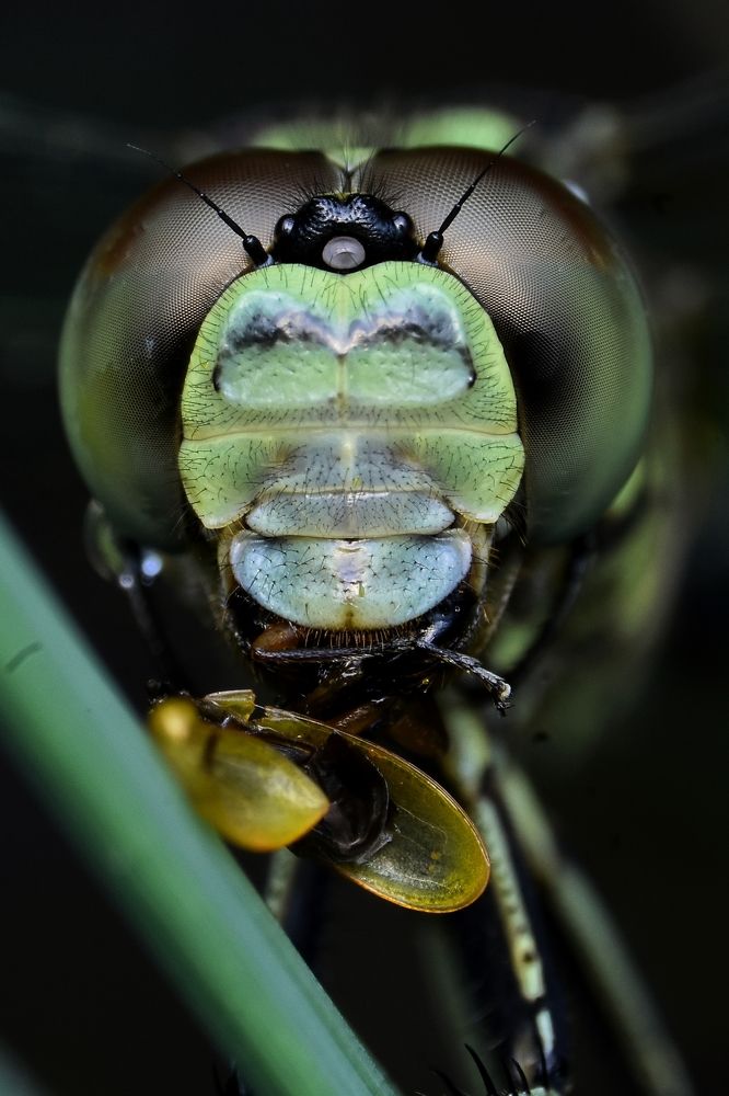 Photograph by sepni juhansah