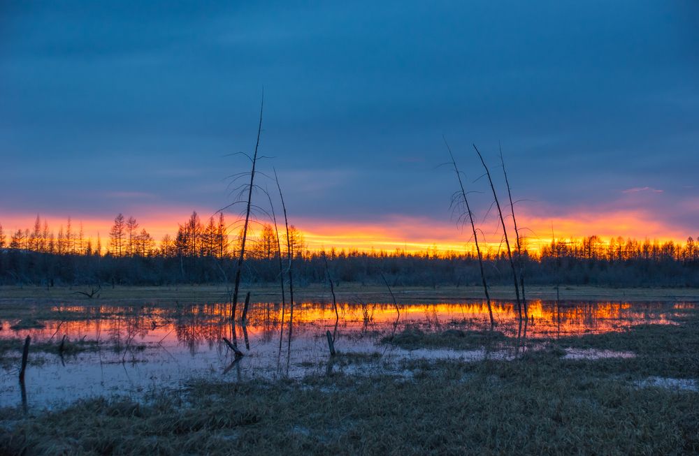 Вечерняя зорька