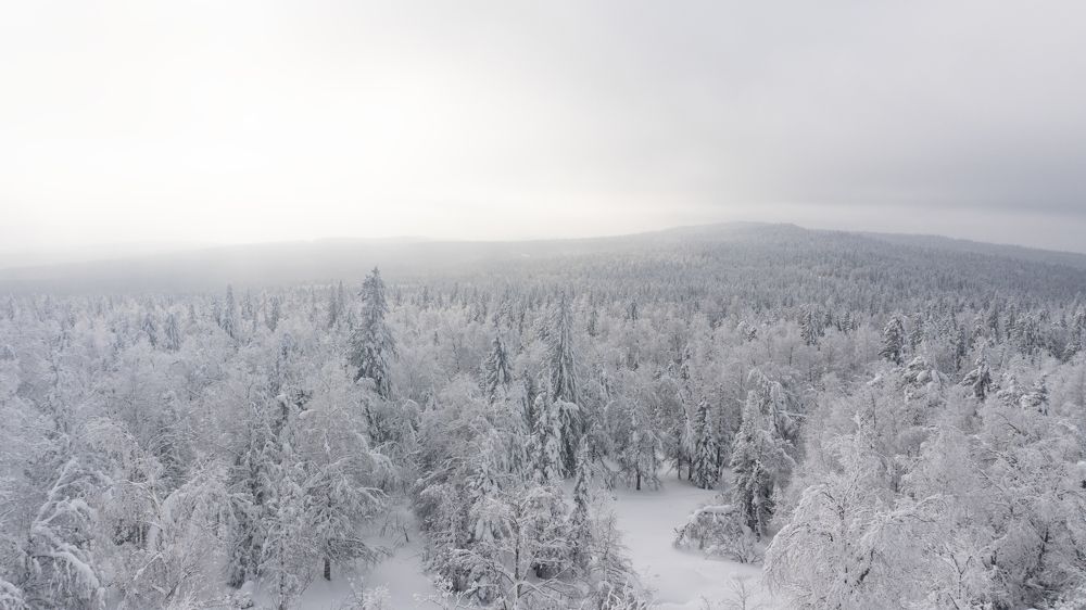 Photograph by Анастасия Пельменёва