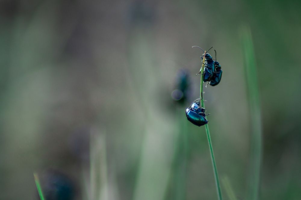 Photograph by Анастасия Пельменёва