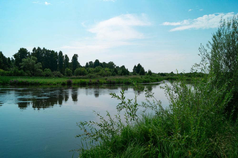 Photograph by Анастасия Пельменёва